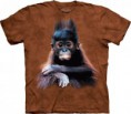 Orangutan Baby
